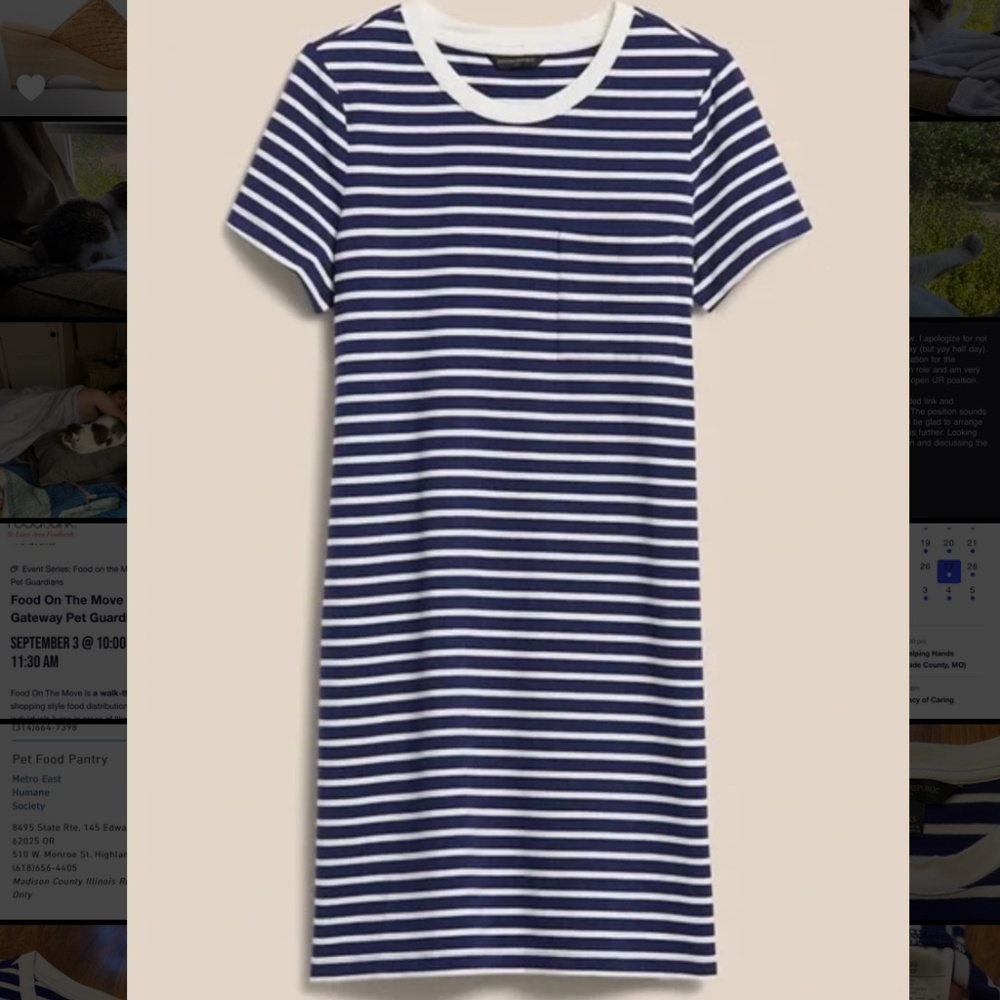 Banana Republic Blue and White Striped T-Shirt Dress XS
